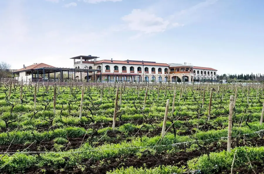 Akhasheni Wine Resort & Spa